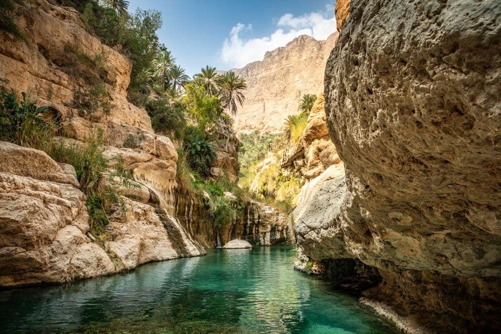 Emerald Cascades of Wadi Tiwi