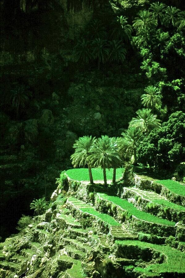 Oman’s Heritage & Nature Escape